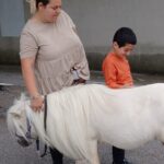 Un enfant et son accompagnatrice avec un poney blanc
