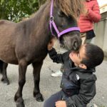 Un enfant de l'UEMa fait un câlin à un poney brun