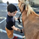 Un enfant de l'UEMa caresse un poney brun