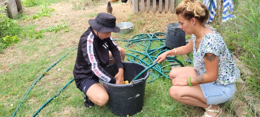 Un jeune et une professionnelle nettoient les pommes de terre dans un grand seau noir à l'aide d'un tuyau d'arrosage