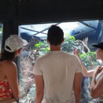 Trois jeunes dans le vivarium regardent les reptiles