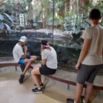 Trois jeunes regardent les reptiles dans le grand vivarium