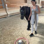 Une jeune fille fait un exercice avec un cheval et des cerceaux