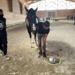 Un jeune fait un exercice avec un cheval et des cerceaux