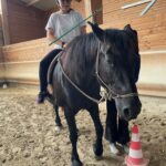 Une jeune fille sur un cheval blanc arrêté devant un plot