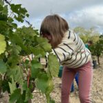 Une petite fille coupe du raisin