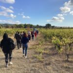 Le groupe, de dos, marche dans les vignes