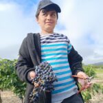 Une petit garçon avec une grappe de raisins dans les mains