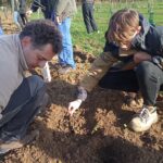 Un jeune et un adulte plantent