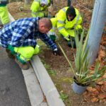 5 travailleurs s'affairent sur les plantations