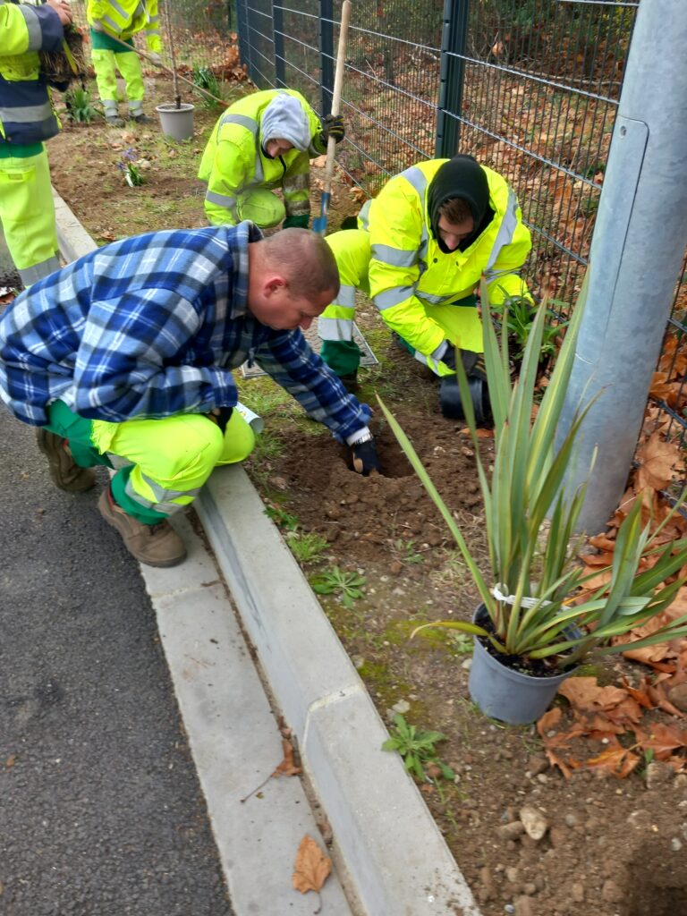 5 travailleurs s'affairent sur les plantations