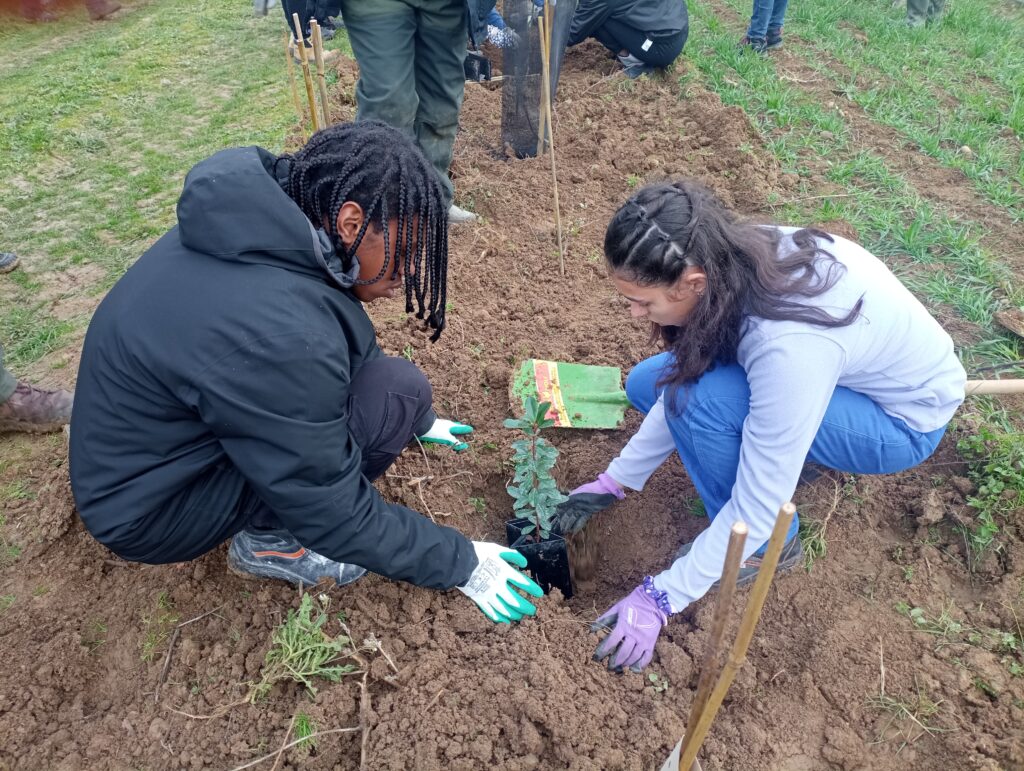 Deux jeunes plantent un arbuste