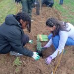 Deux jeunes plantent un arbuste