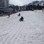 Une course sur la piste de luge